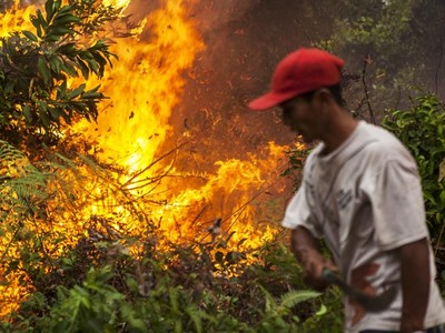 Hutan Riau Masih Membara