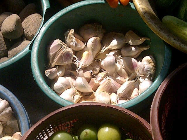 Indonesia Importir Bawang Putih Terbesar di Dunia