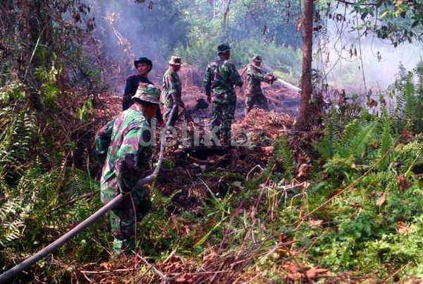 Status Cagar Biosfer Giam Siak di Riau Terancam Dicabut UNESCO