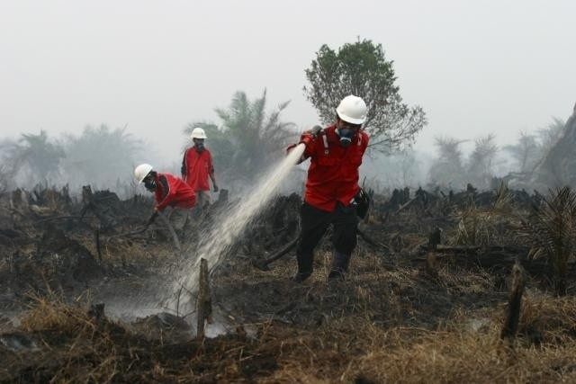 Padamkan Kebakaran Lahan, 3 Ton Garam Disemai di Langit Riau