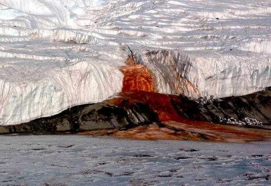 Hii! Ada Air Terjun Darah di Antartika