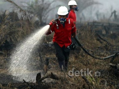 Kebakaran Hutan di Riau Merembet