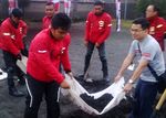 Bikers Honda Bersih-bersih Pura Luhur Poten Bromo