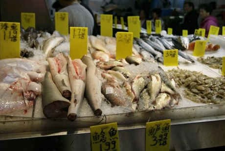 Pegang Ikan dan Seafood, Pengunjung Pasar Ini Kena Infeksi Kulit Langka