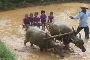 Liburan Sambil Belajar di Cibalung Happy Land, Bogor
