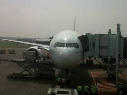 Kemenhub Dukung AP II Bikin Kebun Binatang di Bandara Jambi