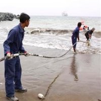 Pasokan Listrik ke Bintuni Papua Terhubung Kabel Bawah Laut 70 Km