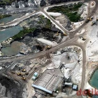 Ladang Timah Makin Menipis, Bangka Kini Andalkan Komoditas Lada