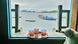 Ngeteh Manis Bareng Si Manis di Beranda Rumah