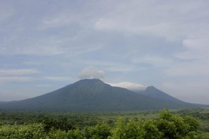 Taman Nasional Baluran, Hijau Banget!