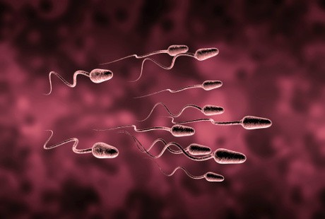 Beda Nasib Sperma pada Pembuahan Alami Vs Bayi Tabung