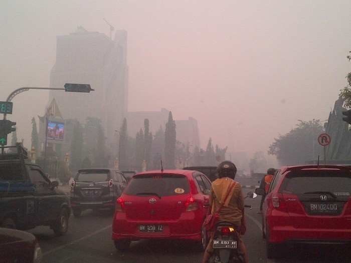 Polri Tetapkan 1 Korporasi Terkait Kebakaran Lahan di Riau