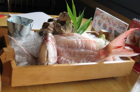 Berani Coba? Sashimi Ikan Hidup dan Salad Bertabur Semut Hidup