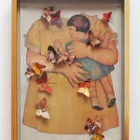 Pameran Kupu-kupu Penyimpan Rahasia Tubuh