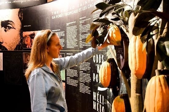 Nyam! 5 Museum Cokelat di Berbagai Negara
