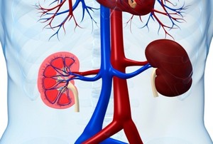 Sakit Ginjal Tak Ada Obatnya, Ini yang Bisa Dilakukan Dokter untuk Menangani
