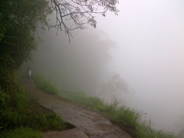Kabut Asap Juga Selimuti Sumatera Barat, Jarak Pandang 300 Meter