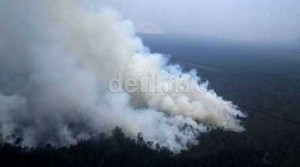 Orang Gila Turut Bakar Lahan di Riau