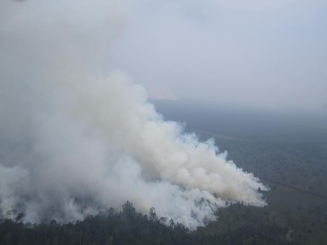 Desa Dikepung Asap, 183 Warga Siak Riau Mengungsi Desa Dikepung Asap, 183 Warga Siak Riau Mengungsi