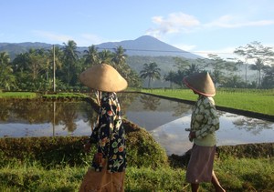 Gunung Slamet Letupkan Lava Pijar, Statusnya Tetap Waspada