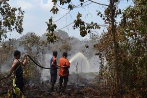 Kabut Asap, Ratusan Hektare Lahan Gambut di Siak Riau Masih Membara