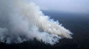 2 Pelaku Ilegal Logging di Cagar Biosfer Riau Ditangkap