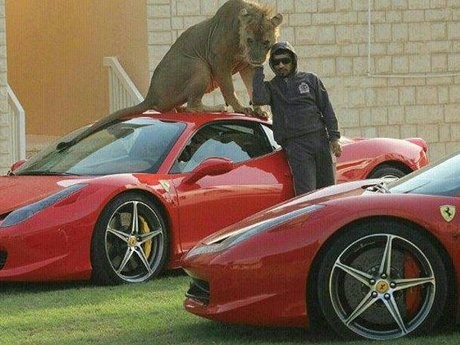 Gokil, Pria Arab Ini Foto Narsis Bareng Singa dan Mobil Super