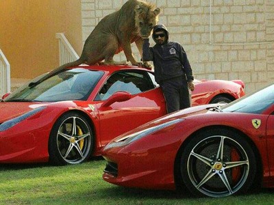 Narsis Bareng Singa dan Mobil Super
