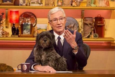 Pria Ini Rela Jual Rumah Demi Selamatkan Anjingnya dari Kanker