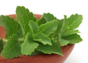 Daun Stevia Aman sebagai Pengganti Gula Alami untuk Penderita Diabetes