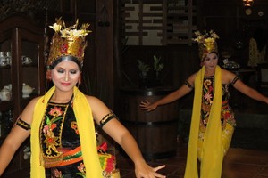 Goyang Seksi Tari Gandrung Banyuwangi