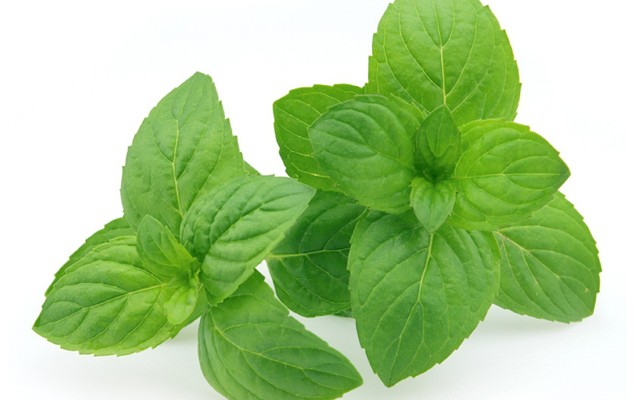 Daun Mint Ampuh untuk Basmi Komedo dan Atasi Jerawat