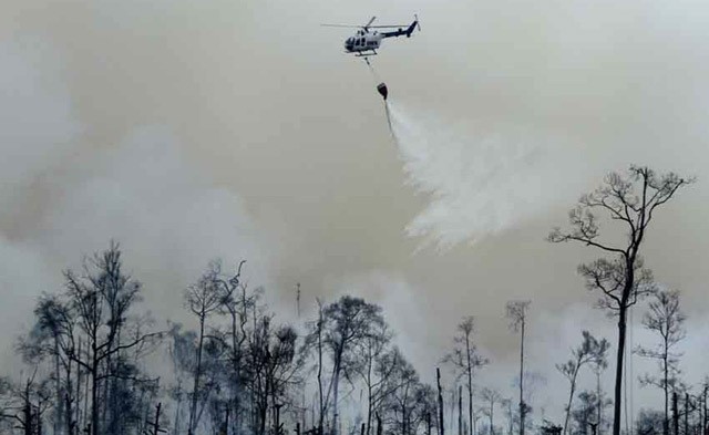 WHO: Polusi Udara Tewaskan 7 Juta Orang Sepanjang 2012