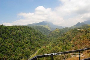 Panorama Cantik dari Bulu View Wonosalam, Jombang