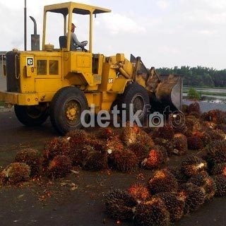Pejabat Kemenperin Anggap Wajar Serangan Eropa ke Sawit RI