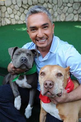 Cesar Millan Beri Pertunjukan Live 26 April di Jakarta