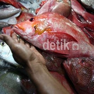 RI Promosi Ikan dan Udang Hingga ke AS