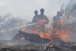 Terjadi Penambahan Hotspot di Riau, BNPB Adakan Patroli Malam