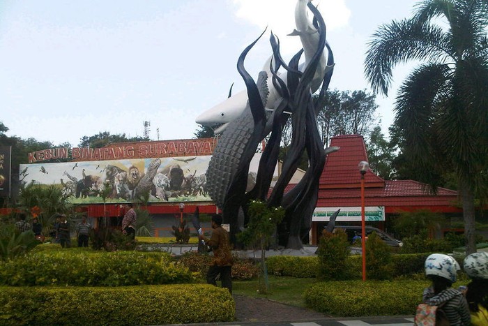 Kebun Binatang Surabaya, Nasibmu Kini