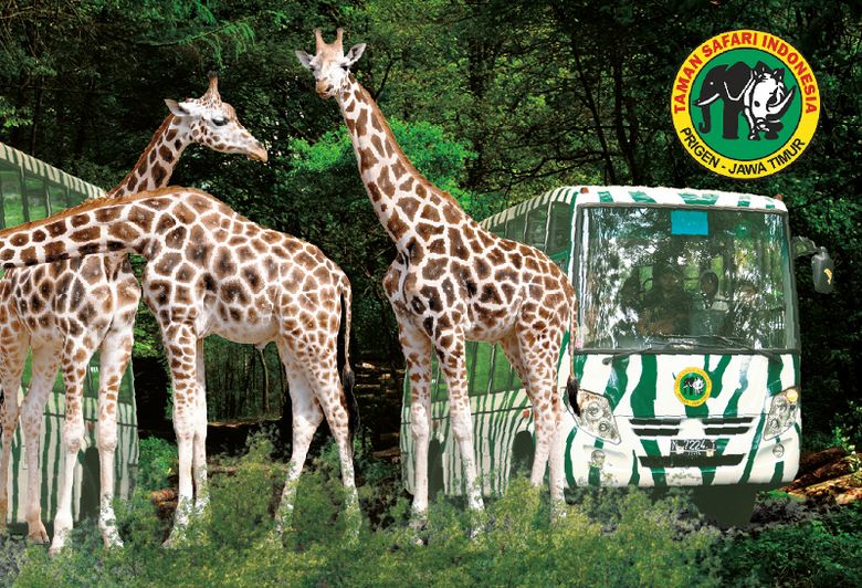Mengenal 4 Taman Safari di Seluruh Indonesia Halaman 5