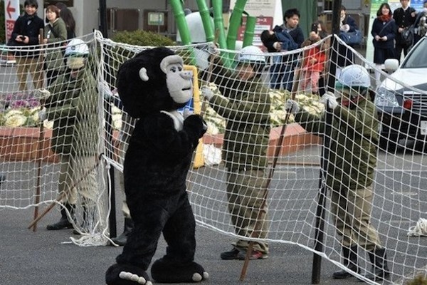5 Hal Paling Aneh yang Dilakukan Kebun Binatang