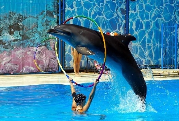 10 Kebun Binatang Terbesar Sedunia (2)