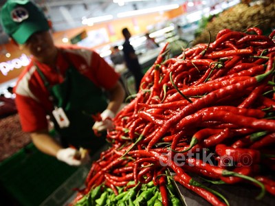 Harga Cabai Masih Mahal