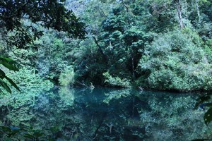 Asrinya Suasana di Curug Cibeureum