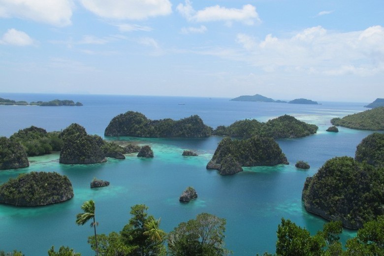 3 000 Turis Diprediksi Ramaikan Sail Raja  Ampat  2014