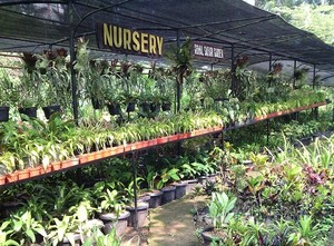 Weekend di Puncak, Coba Agrowista di Lahan Organik Agri Food