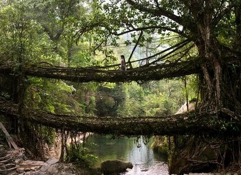 6 Jembatan Paling Unik di Dunia