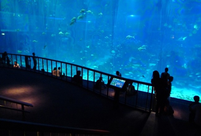 Catat! 5 Tempat Wajib Kunjung di Resorts World Sentosa