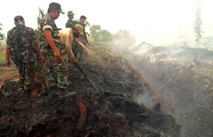BNPB: Kebakaran Hutan di Riau Teratasi, 1.000 Personel TNI akan Ditarik