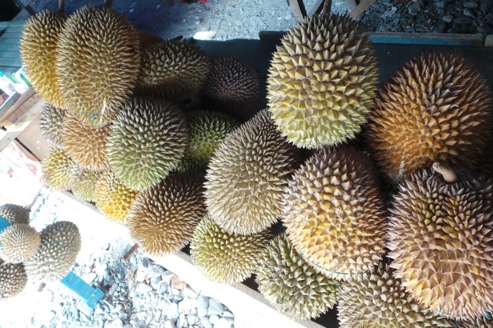 Surga Durian Ada di Pantai Talise, Palu